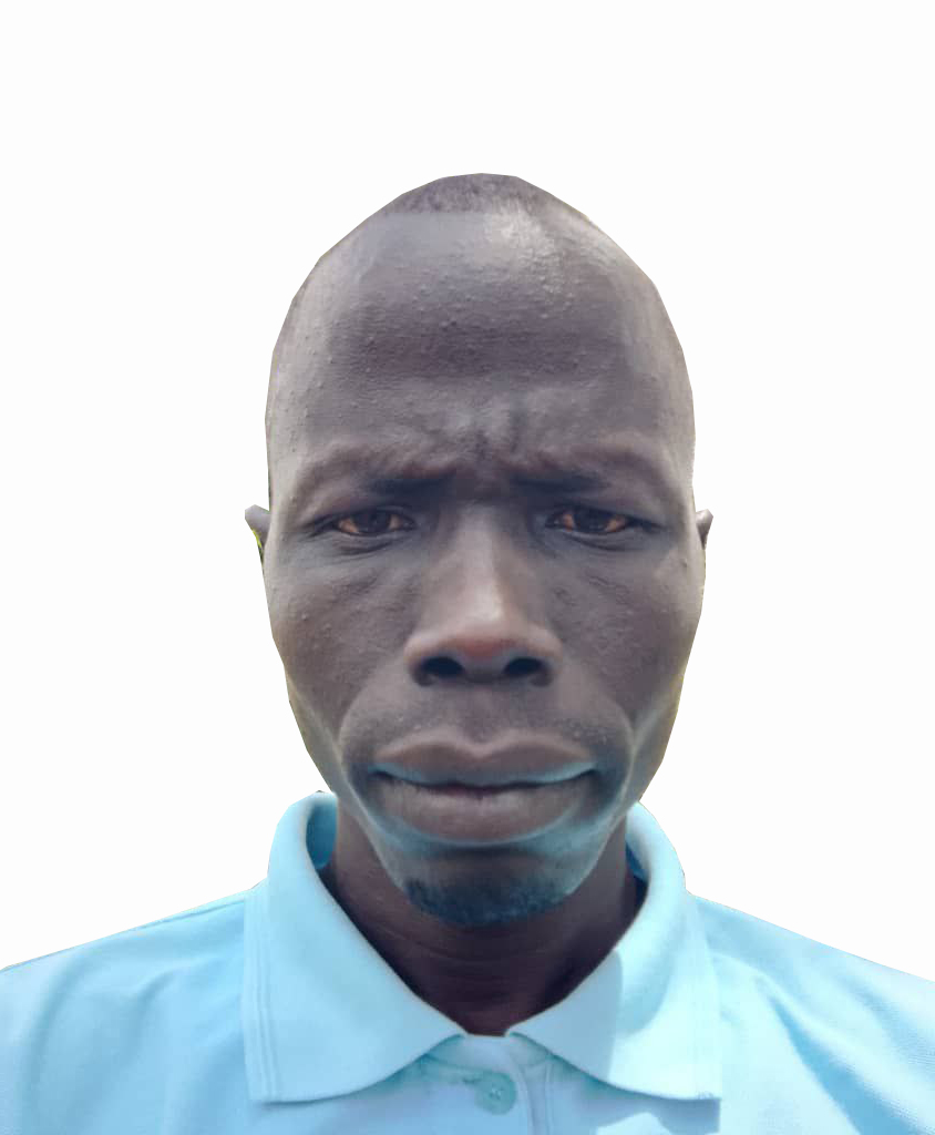 Committee Member